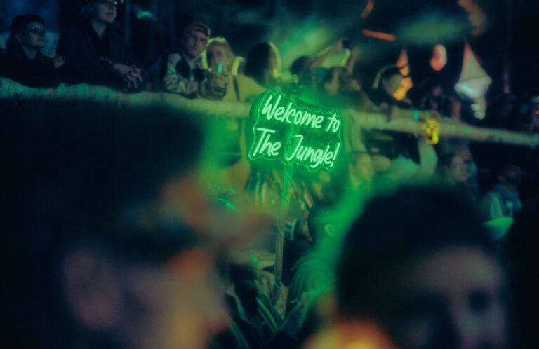 Photo du festival Future Forest 2023