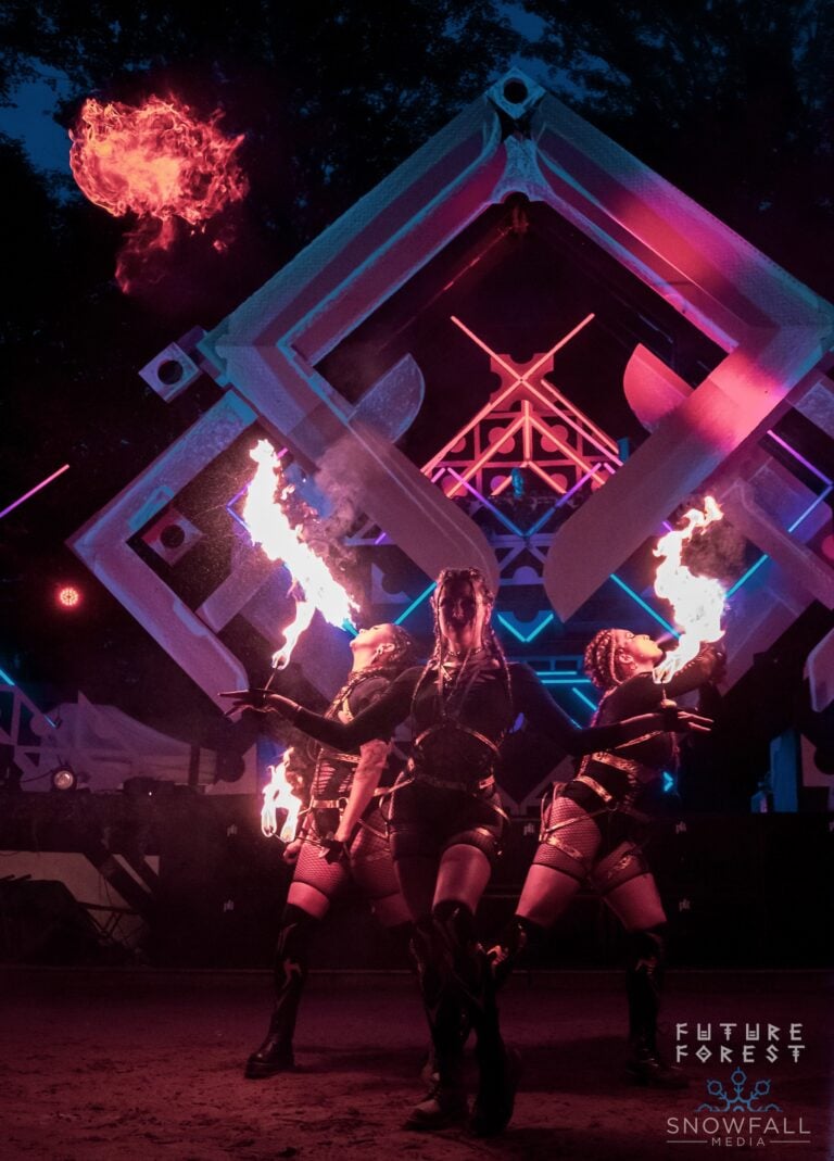 Photo du festival Future Forest 2023