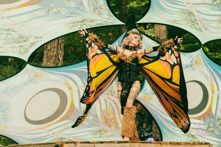 Photo du festival Future Forest 2023