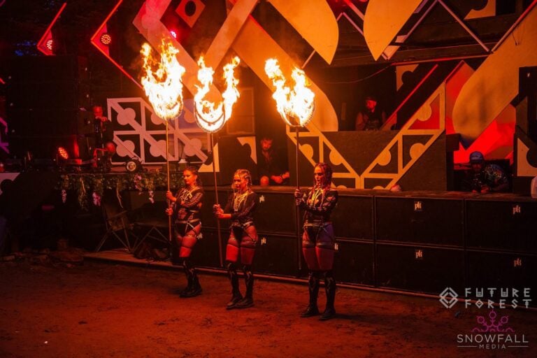 Photo du festival Future Forest 2023