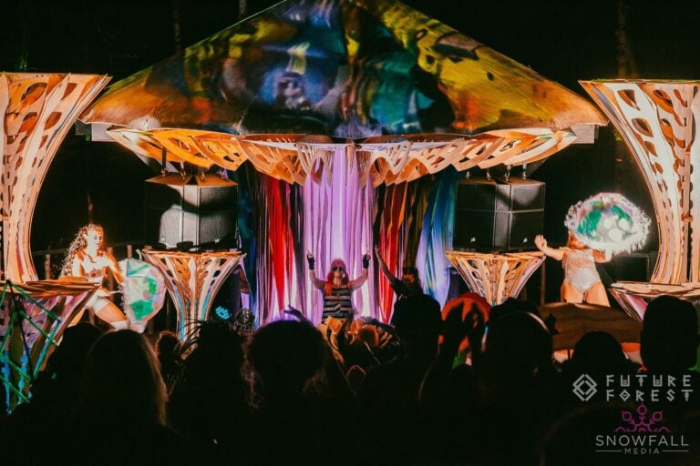 Photo du festival Future Forest 2023