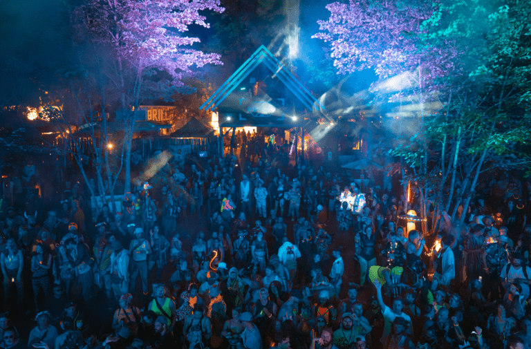 Photo du festival Future Forest 2023