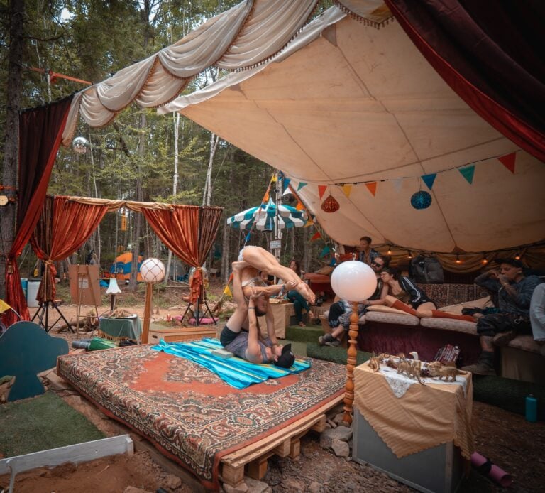 Photo du festival Future Forest 2023