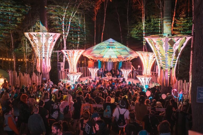 Photo du festival Future Forest 2023