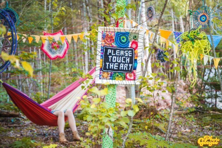 Photo du festival Future Forest 2023