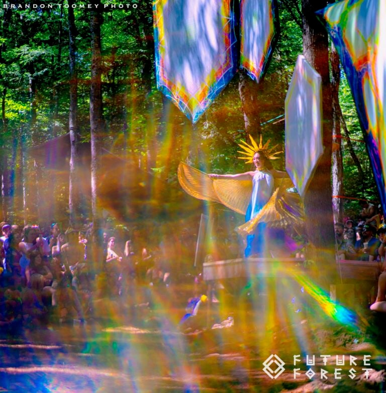 Photo du festival Future Forest 2024