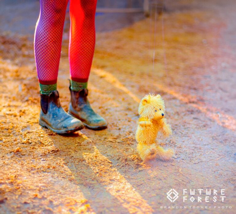 Photo du festival Future Forest 2024