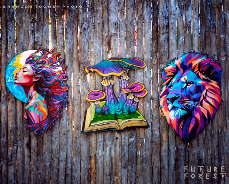Photo du festival Future Forest 2024