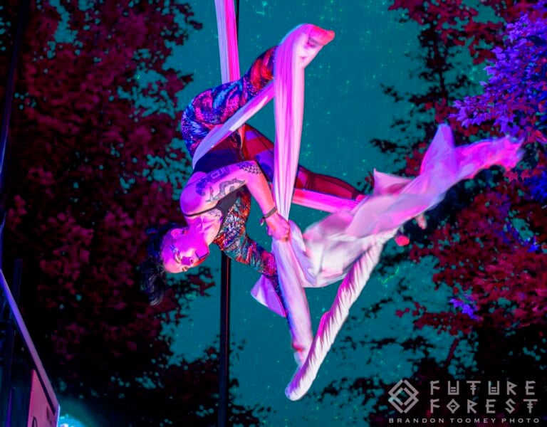 Photo du festival Future Forest 2024