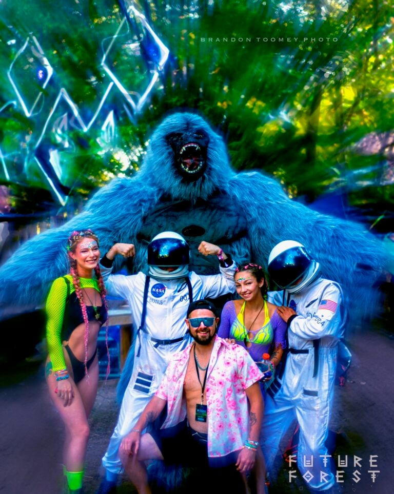 Photo du festival Future Forest 2024