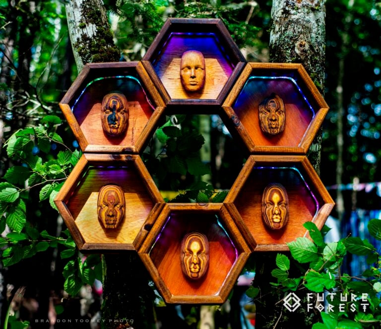 Photo du festival Future Forest 2024
