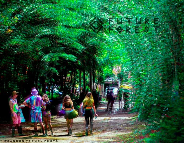 Photo du festival Future Forest 2024