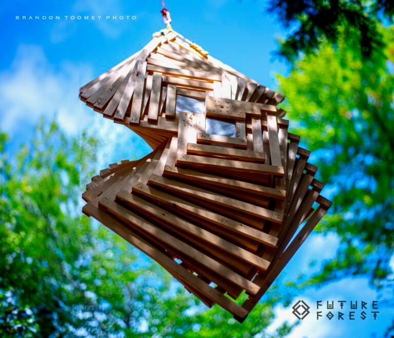 Photo du festival Future Forest 2024