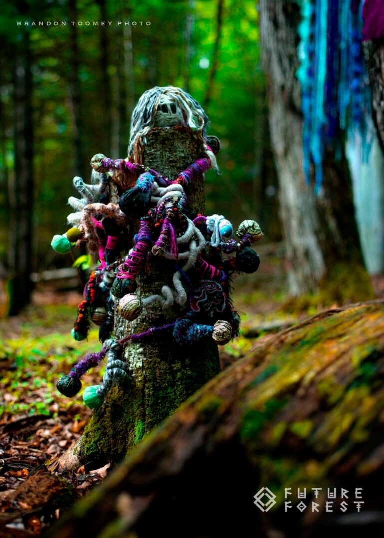 Photo du festival Future Forest 2024