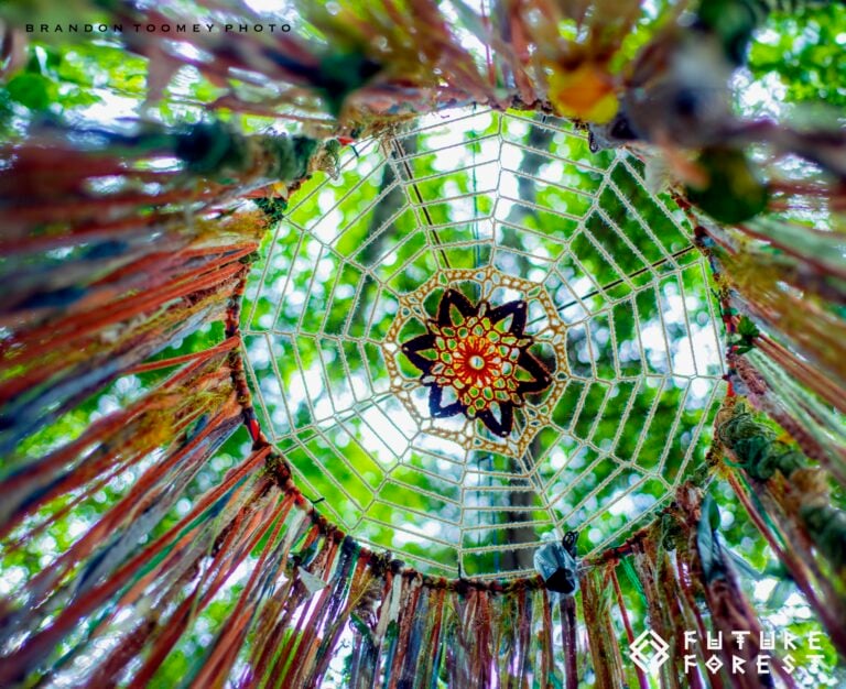Photo du festival Future Forest 2024