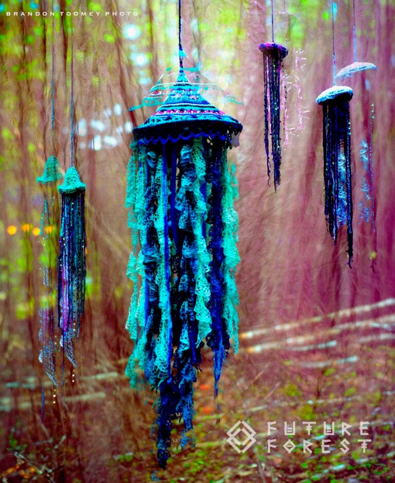 Photo du festival Future Forest 2024