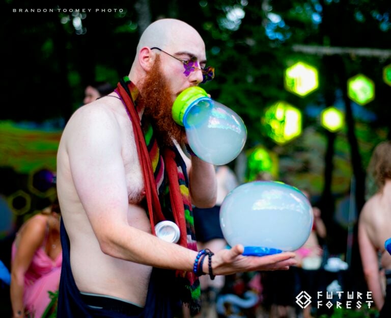 Photo du festival Future Forest 2024
