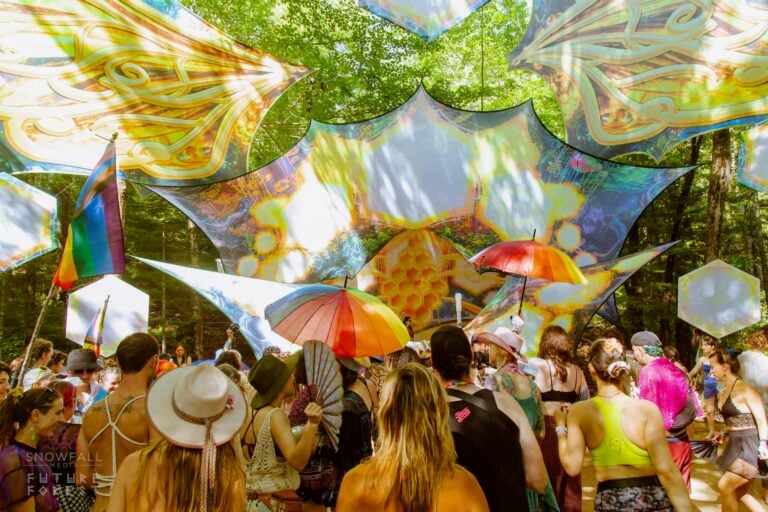 Photo du festival Future Forest 2024