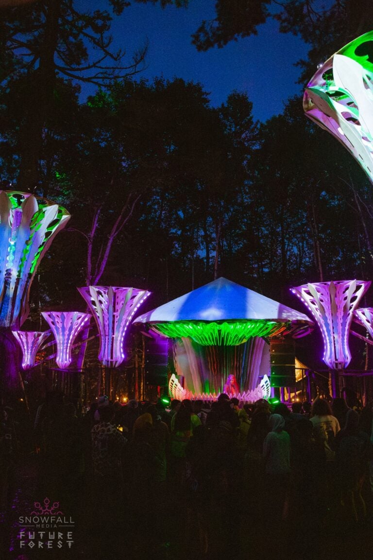 Photo du festival Future Forest 2024
