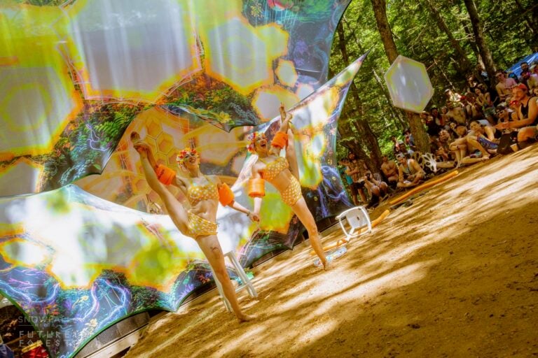 Photo du festival Future Forest 2024