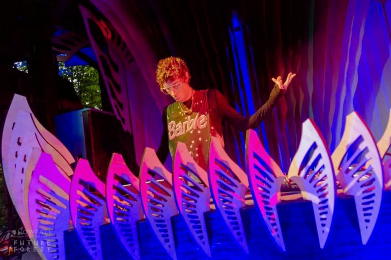 Photo du festival Future Forest 2024