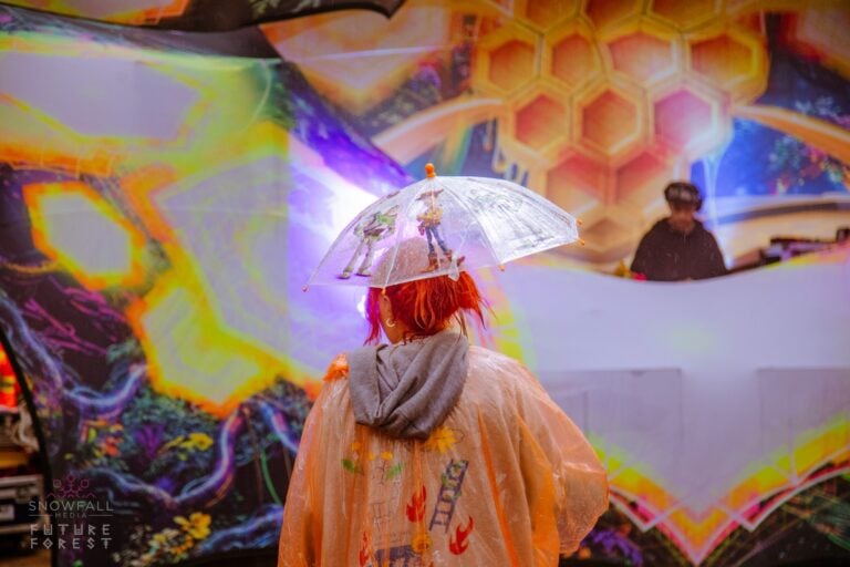 Photo du festival Future Forest 2024