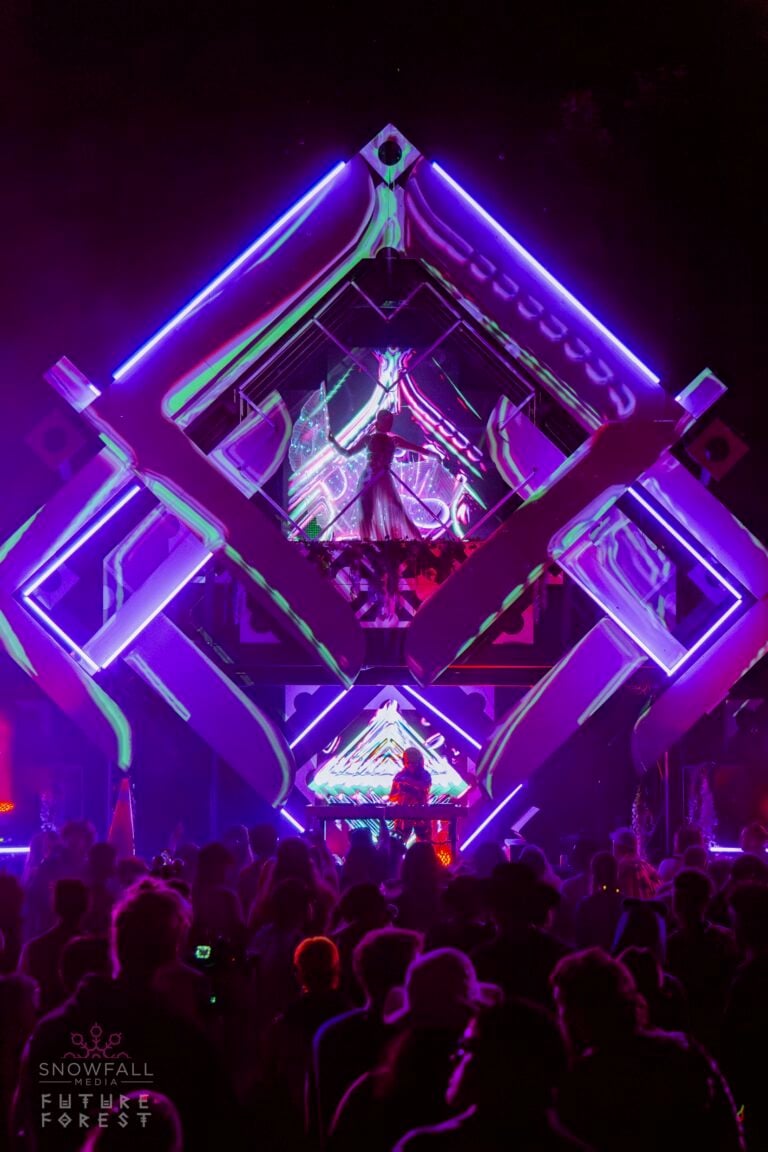 Photo du festival Future Forest 2024