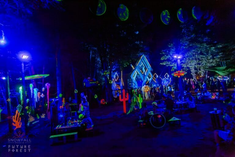 Photo du festival Future Forest 2024