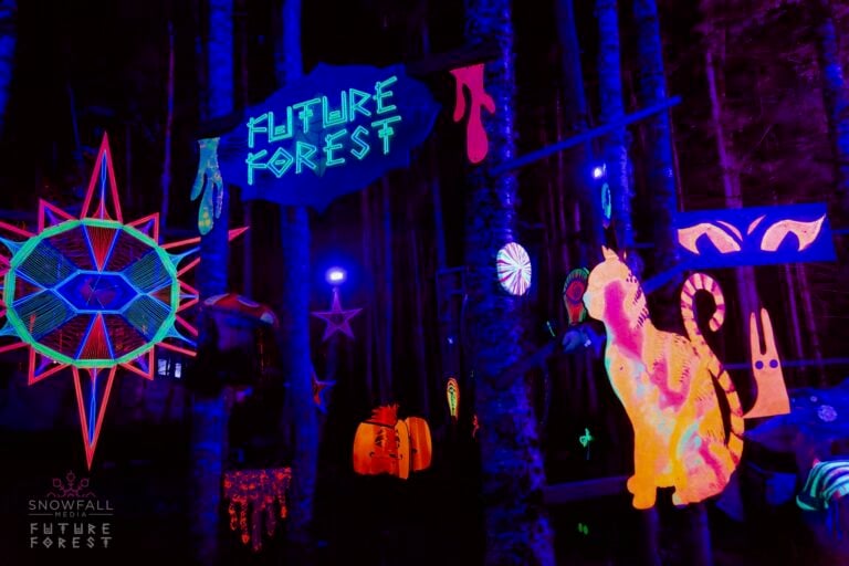 Photo du festival Future Forest 2024