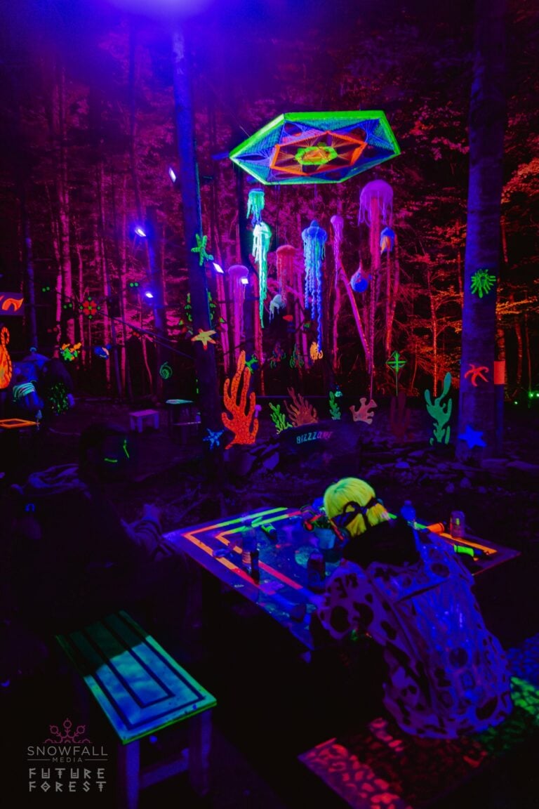 Photo du festival Future Forest 2024