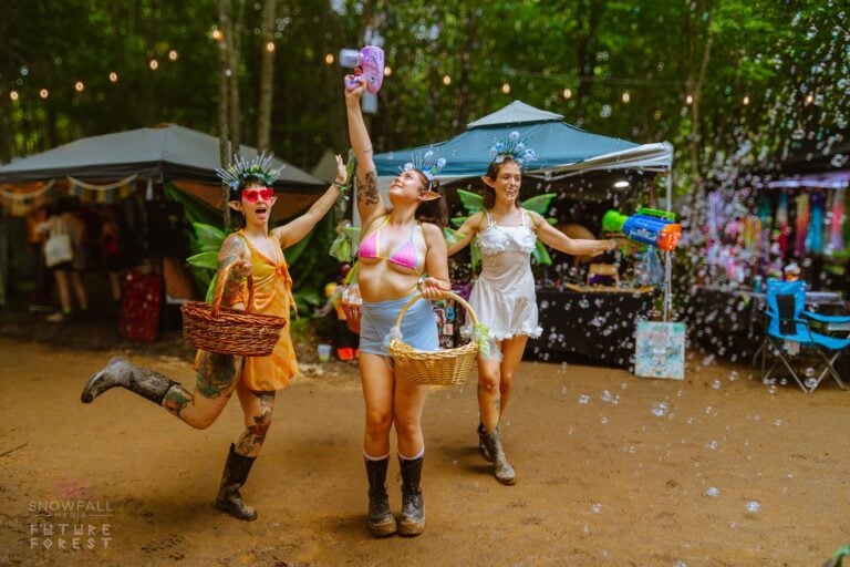 Photo du festival Future Forest 2024