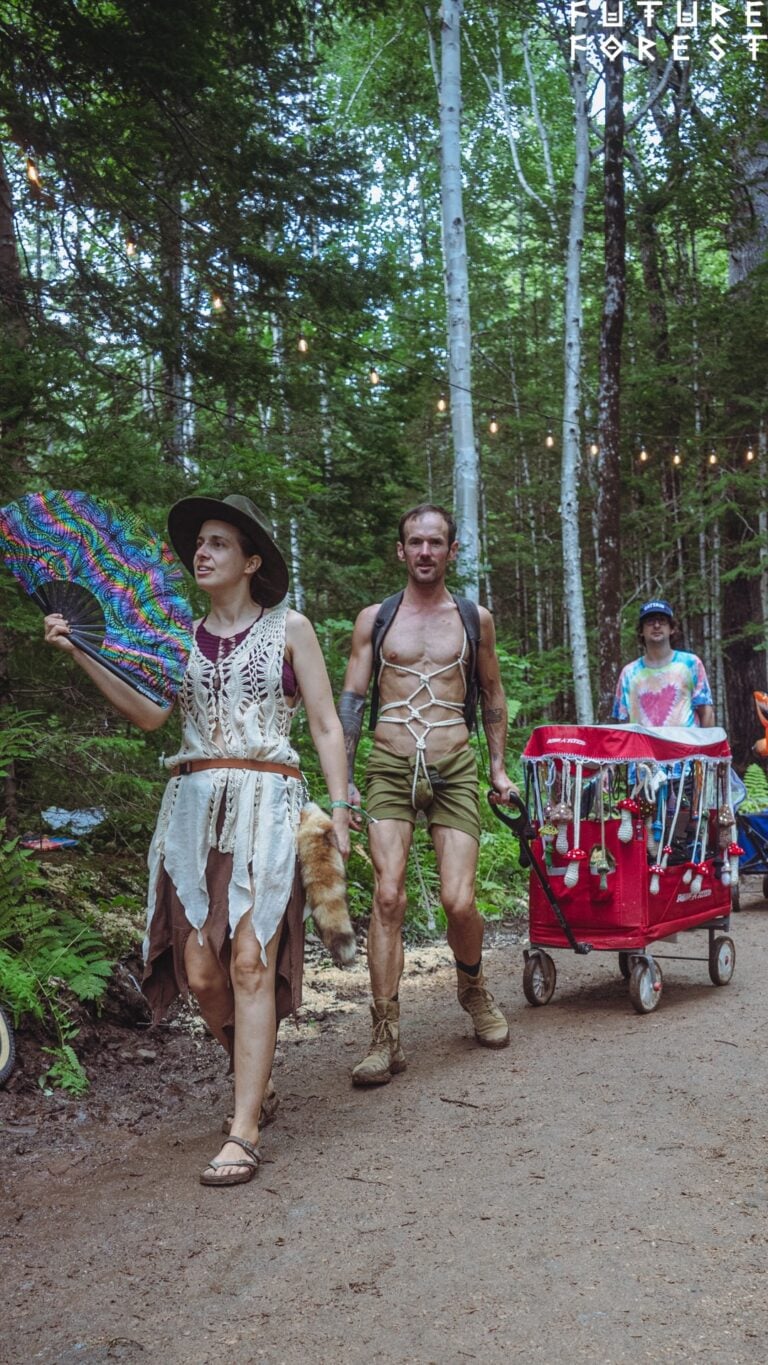 Photo du festival Future Forest 2024