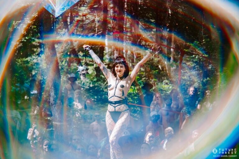 Photo du festival Future Forest 2024