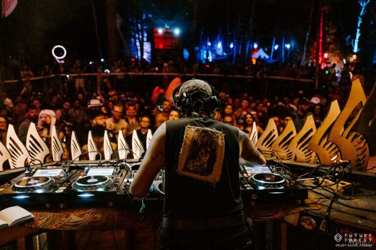 Un DJ vu de dos, en casquette et casque d'écoute, joue devant une foule dense la nuit, la cabine bordée de plumes en bois