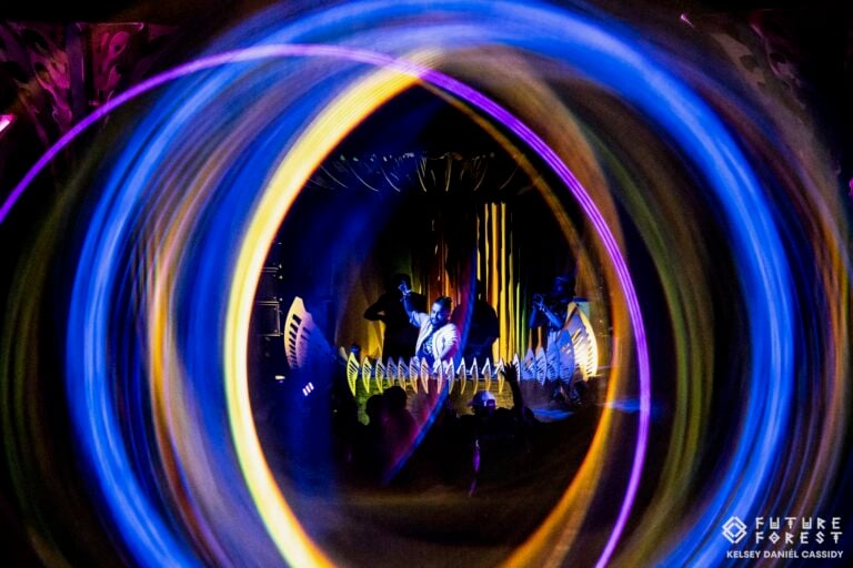 Photo du festival Future Forest 2024