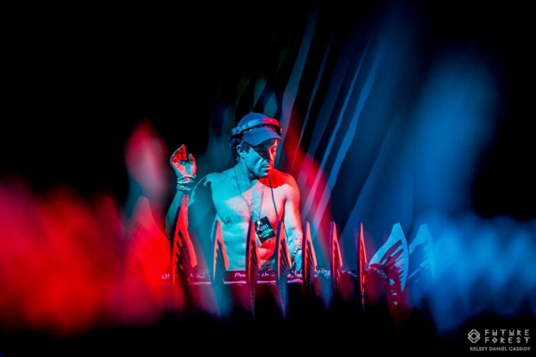 Photo du festival Future Forest 2024
