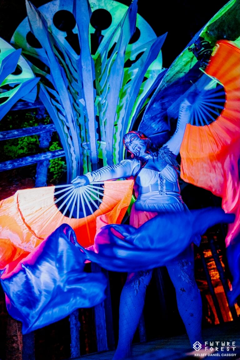 Photo du festival Future Forest 2024