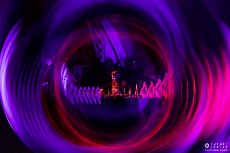 Photo du festival Future Forest 2024