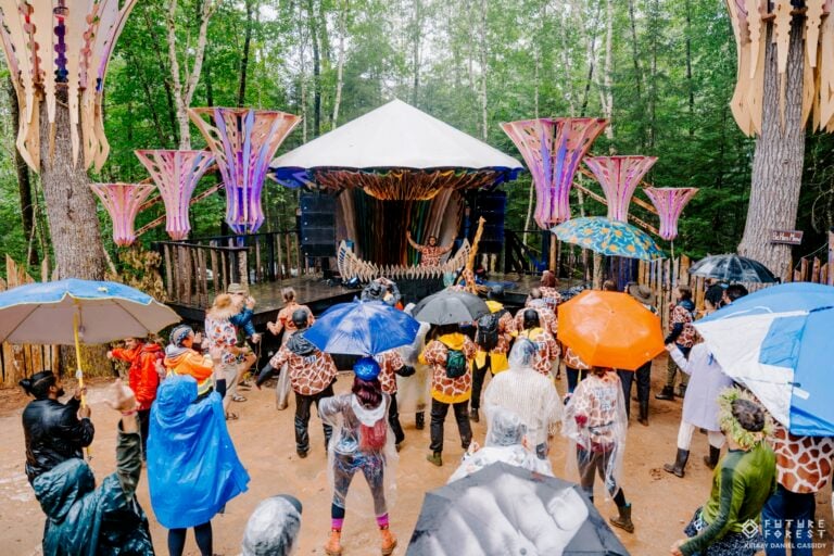 Photo du festival Future Forest 2024