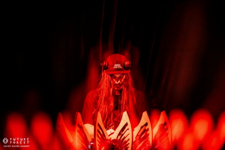 Photo du festival Future Forest 2024