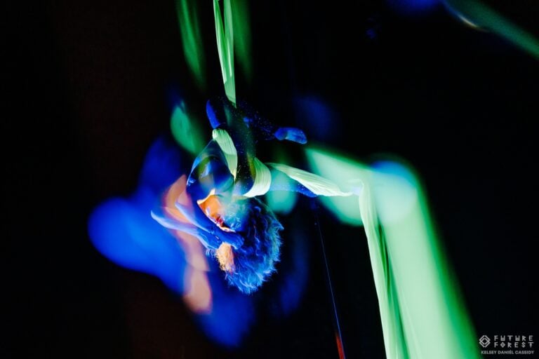 Photo du festival Future Forest 2024