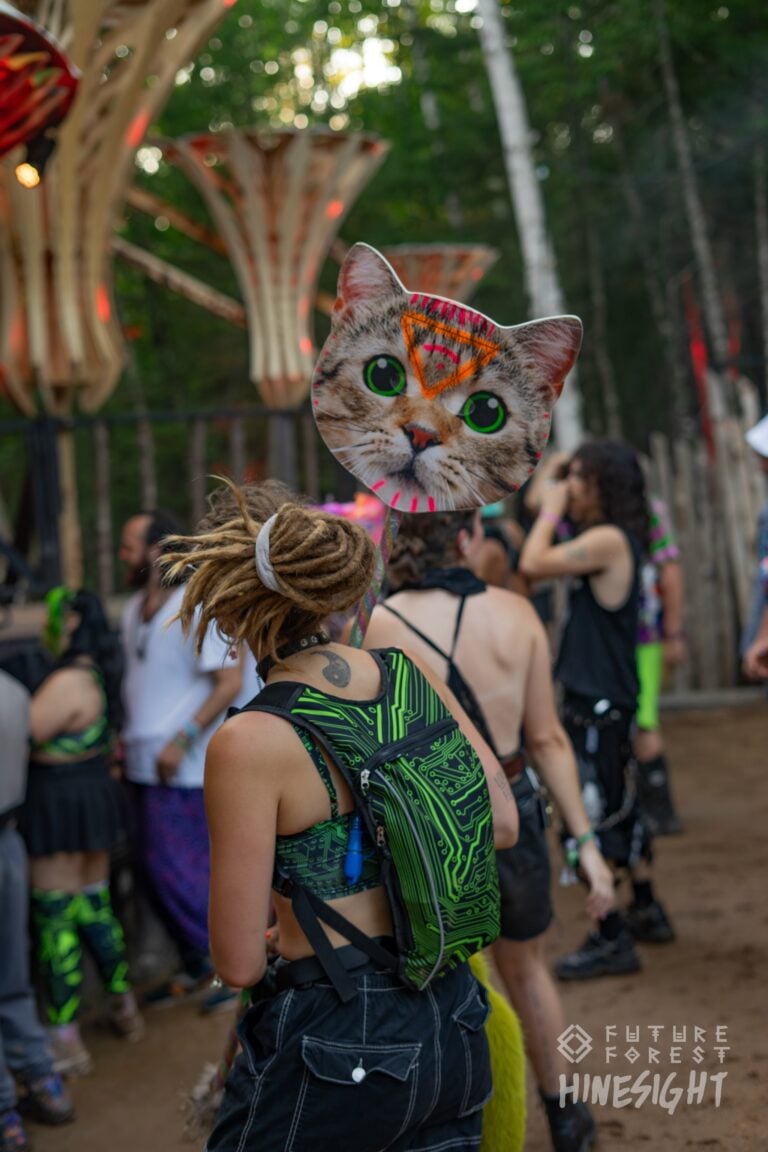 Photo du festival Future Forest 2024