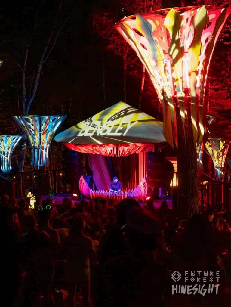 Photo du festival Future Forest 2024