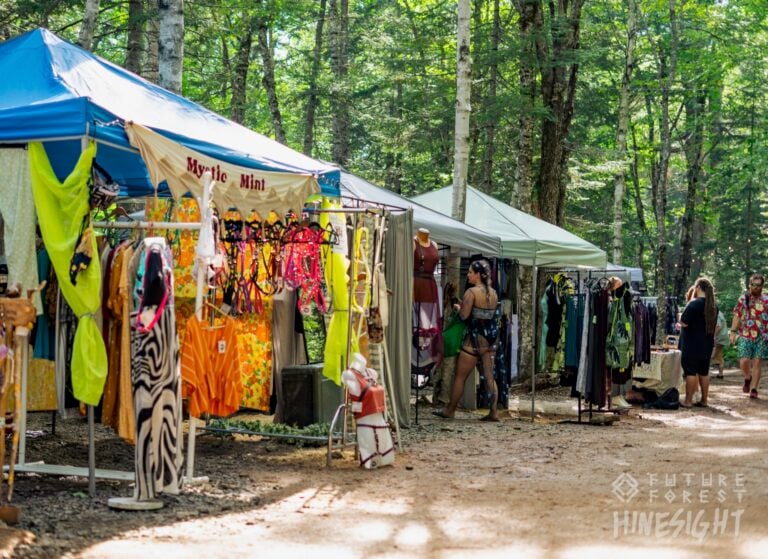 Photo du festival Future Forest 2024