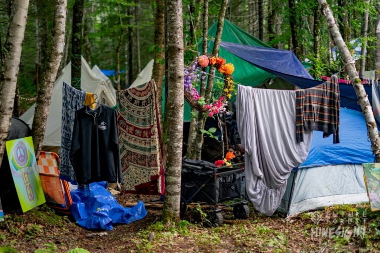 Photo du festival Future Forest 2024