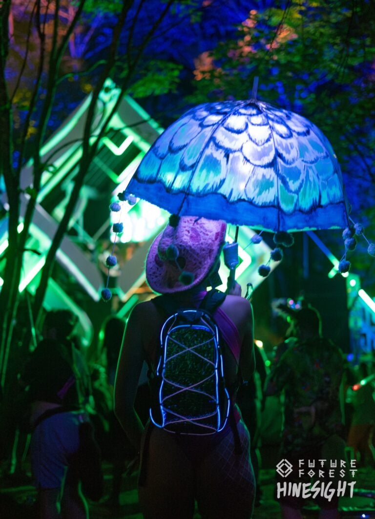 Photo du festival Future Forest 2024