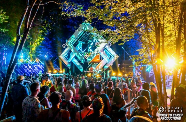 Photo du festival Future Forest 2024