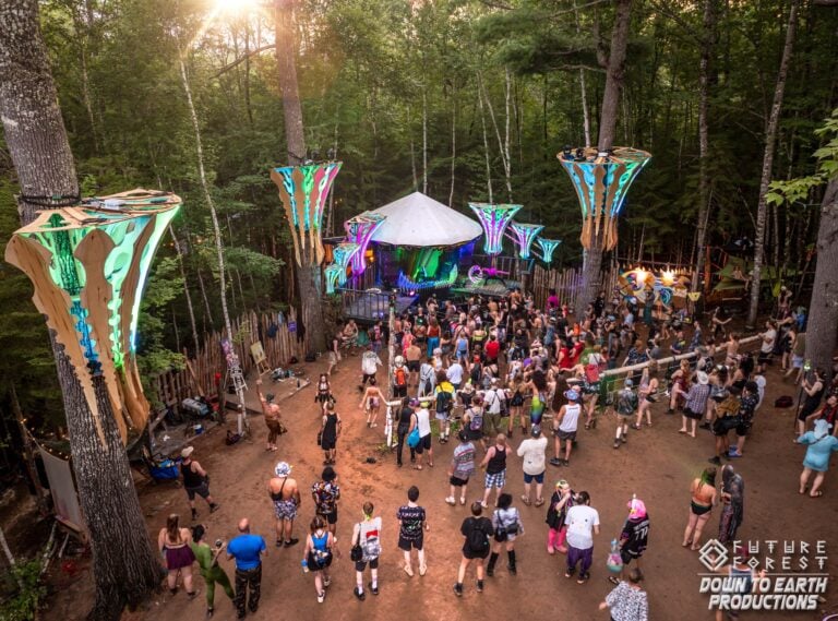 Photo du festival Future Forest 2024