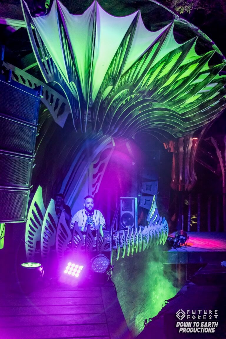 Photo du festival Future Forest 2024