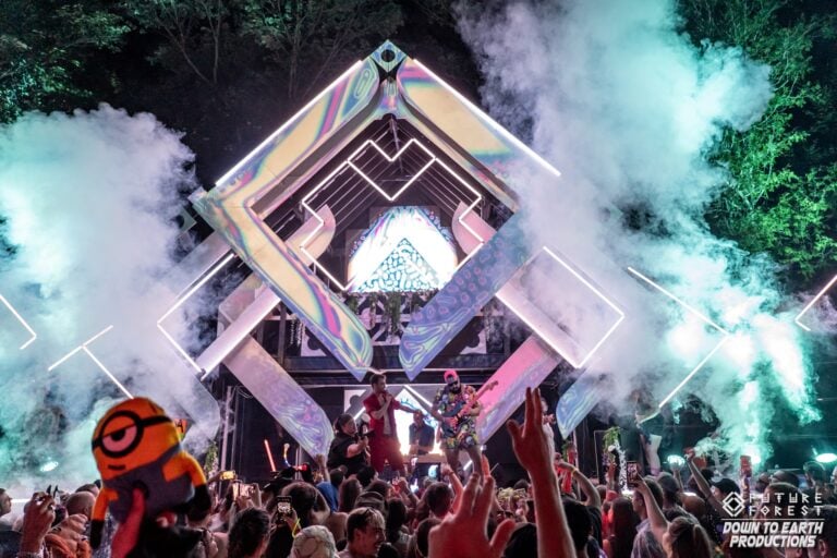 Photo du festival Future Forest 2024
